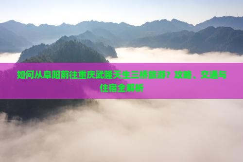 如何从阜阳前往重庆武隆天生三桥旅游？攻略、交通与住宿全解析