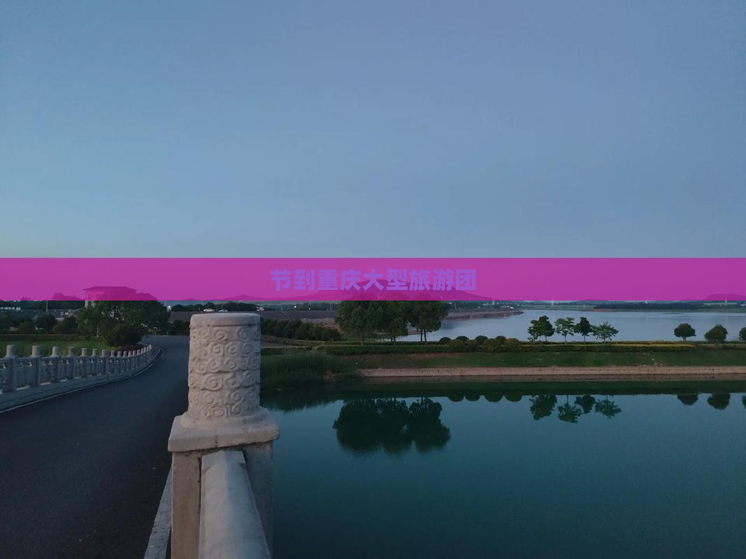 节到重庆大型旅游团