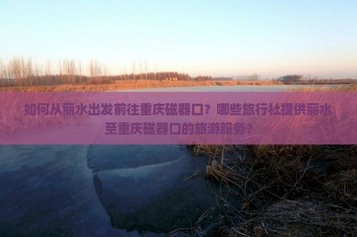 如何从丽水出发前往重庆磁器口？哪些旅行社提供丽水至重庆磁器口的旅游服务？