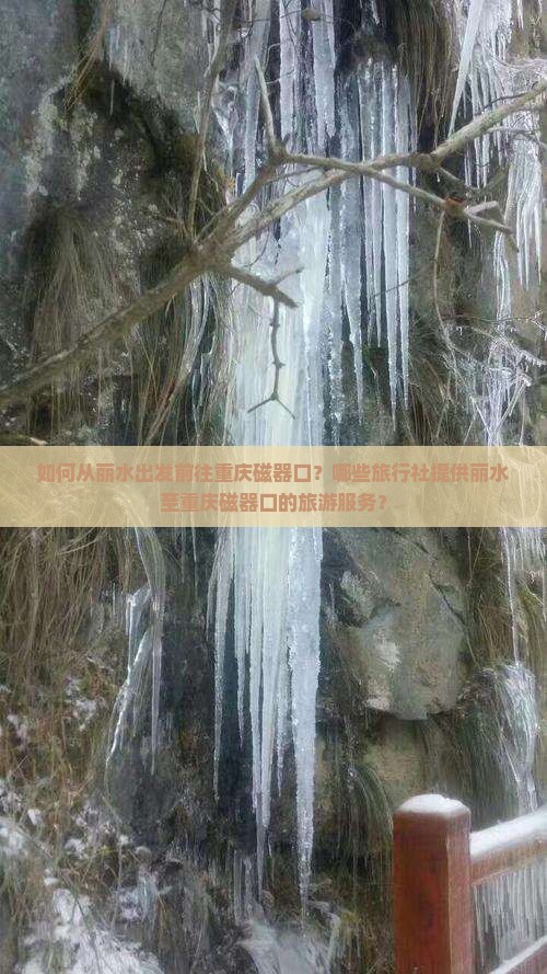 如何从丽水出发前往重庆磁器口？哪些旅行社提供丽水至重庆磁器口的旅游服务？
