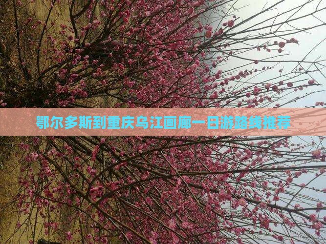 鄂尔多斯到重庆乌江画廊一日游路线推荐