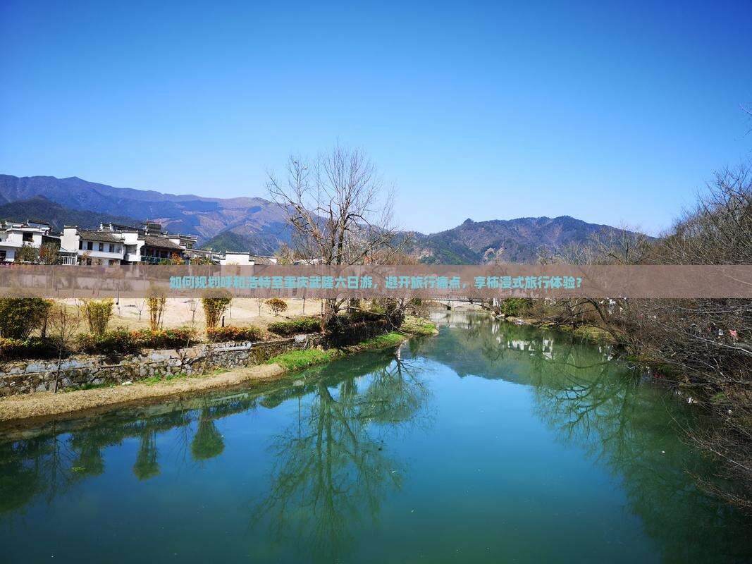 如何规划呼和浩特至重庆武隆六日游，避开旅行痛点，享柿浸式旅行体验？