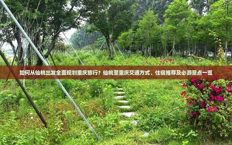 如何从仙桃出发全面规划重庆旅行？仙桃至重庆交通方式、住宿推荐及必游景点一览