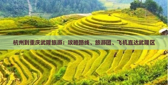 杭州到重庆武隆旅游：攻略路线、旅游团、飞机直达武隆区