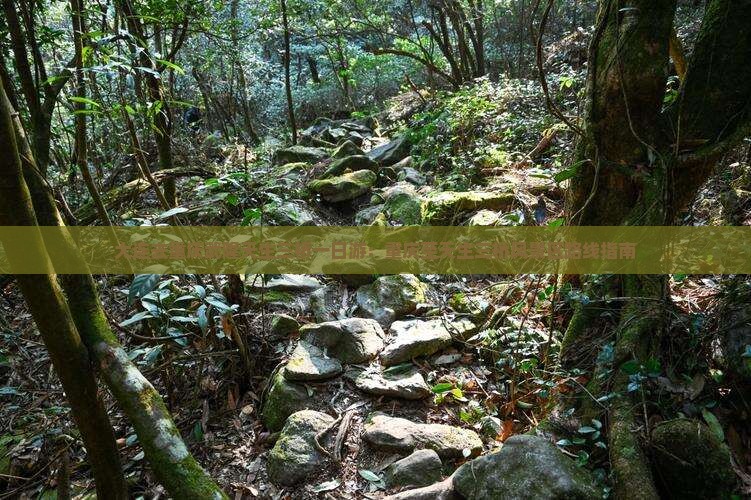 大连去重庆武隆天生三桥一日游：重庆至天生三桥风景区路线指南
