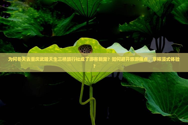 为何冬天去重庆武隆天生三桥旅行社成了游客新宠？如何避开旅游痛点，享柿浸式体验？