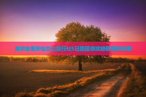 潍坊去重庆仙女山旅行社5日跟团游攻略及路线指南
