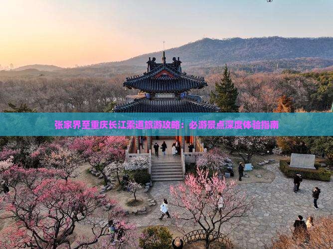 张家界至重庆长江索道旅游攻略：必游景点深度体验指南