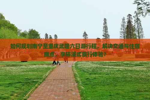 如何规划南宁至重庆武隆六日游行程，解决交通与住宿痛点，享柿浸式旅行体验？