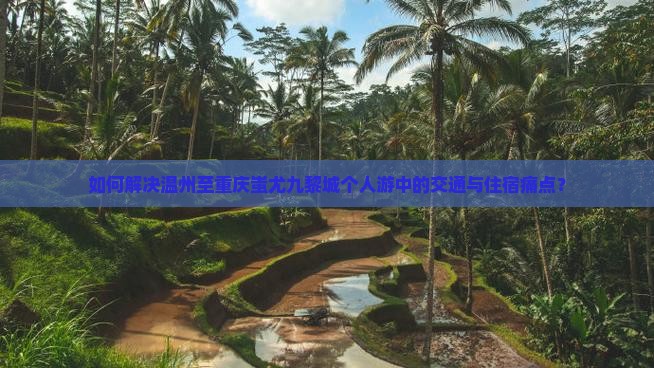 如何解决温州至重庆蚩尤九黎城个人游中的交通与住宿痛点？