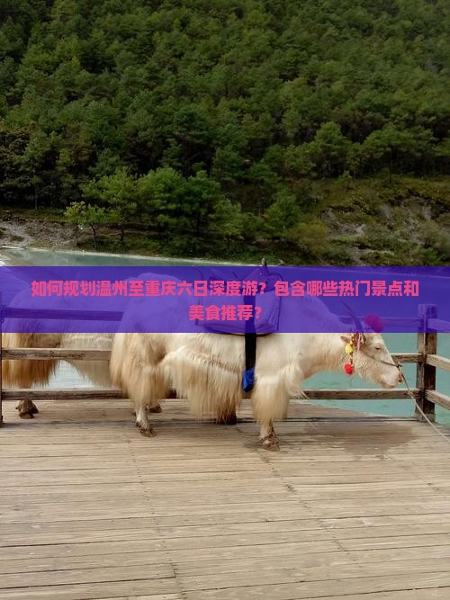 如何规划温州至重庆六日深度游？包含哪些热门景点和美食推荐？