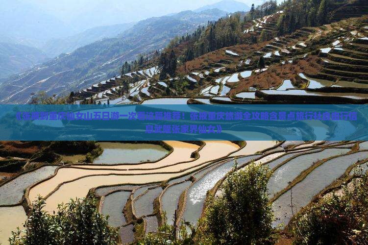 《张掖到重庆仙女山五日游一次看这篇推荐！张掖重庆旅游全攻略含景点旅行社自由行信息武隆张家界仙女》