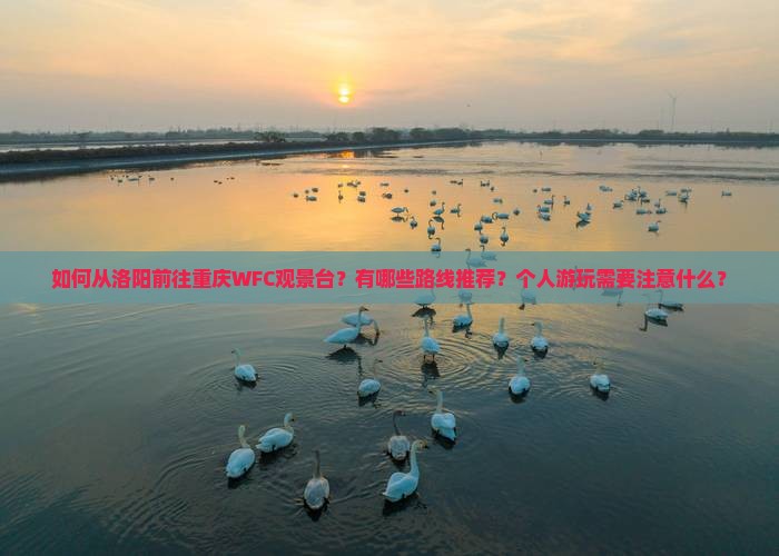 如何从洛阳前往重庆WFC观景台？有哪些路线推荐？个人游玩需要注意什么？