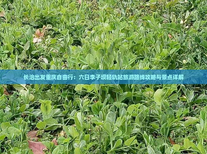 长治出发重庆自由行：六日李子坝轻轨站旅游路线攻略与景点详解