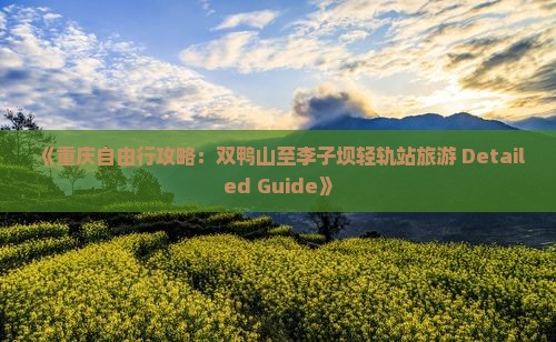 《重庆自由行攻略：双鸭山至李子坝轻轨站旅游 Detailed Guide》
