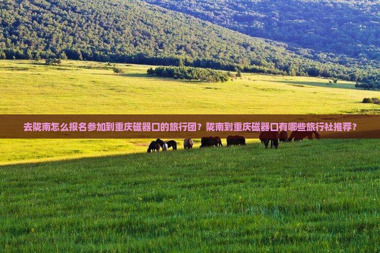 去陇南怎么报名参加到重庆磁器口的旅行团？陇南到重庆磁器口有哪些旅行社推荐？