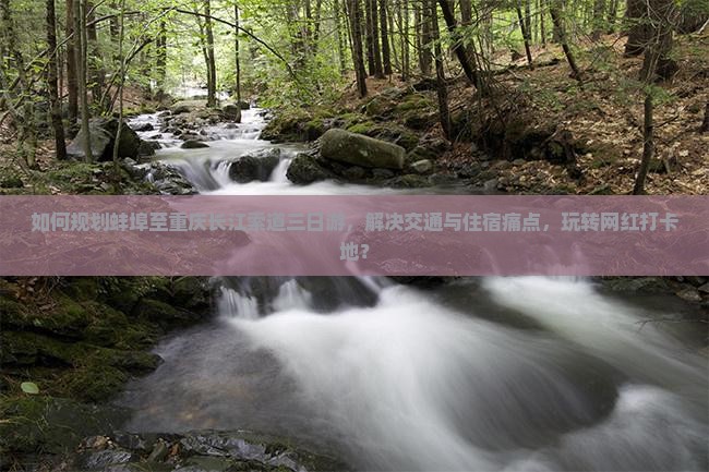 如何规划蚌埠至重庆长江索道三日游，解决交通与住宿痛点，玩转网红打卡地？