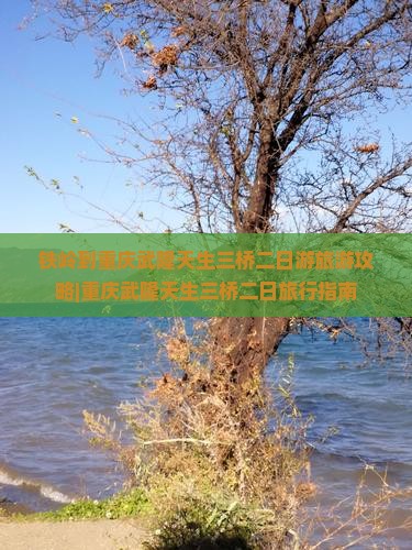 铁岭到重庆武隆天生三桥二日游旅游攻略|重庆武隆天生三桥二日旅行指南