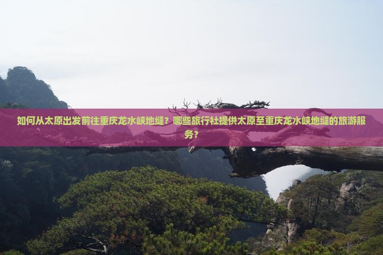如何从太原出发前往重庆龙水峡地缝？哪些旅行社提供太原至重庆龙水峡地缝的旅游服务？