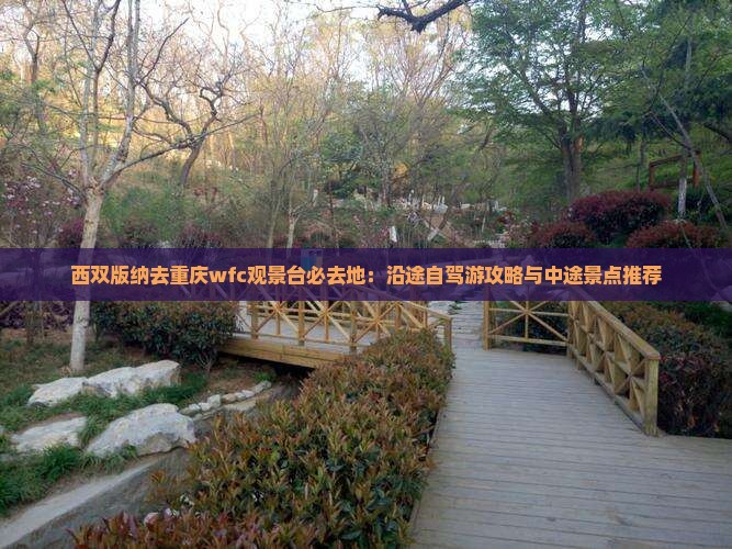 西双版纳去重庆wfc观景台必去地：沿途自驾游攻略与中途景点推荐