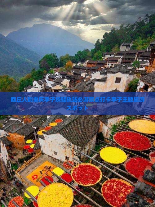 商丘人到重庆李子坝轻轨站必游景点打卡李子主题旅游スポット