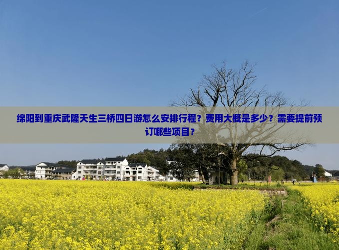 绵阳到重庆武隆天生三桥四日游怎么安排行程？费用大概是多少？需要提前预订哪些项目？