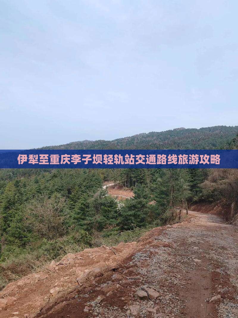 伊犁至重庆李子坝轻轨站交通路线旅游攻略