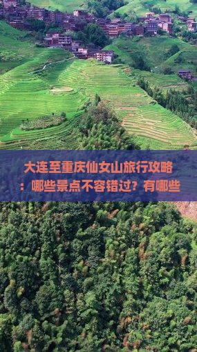 大连至重庆仙女山旅行攻略：哪些景点不容错过？有哪些必体验的活动与美食推荐？