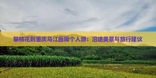 攀枝花到重庆乌江画廊个人游：沿途美景与旅行建议