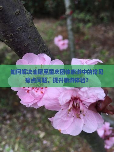 如何解决汕尾至重庆团体旅游中的常见痛点问题，提升旅游体验？