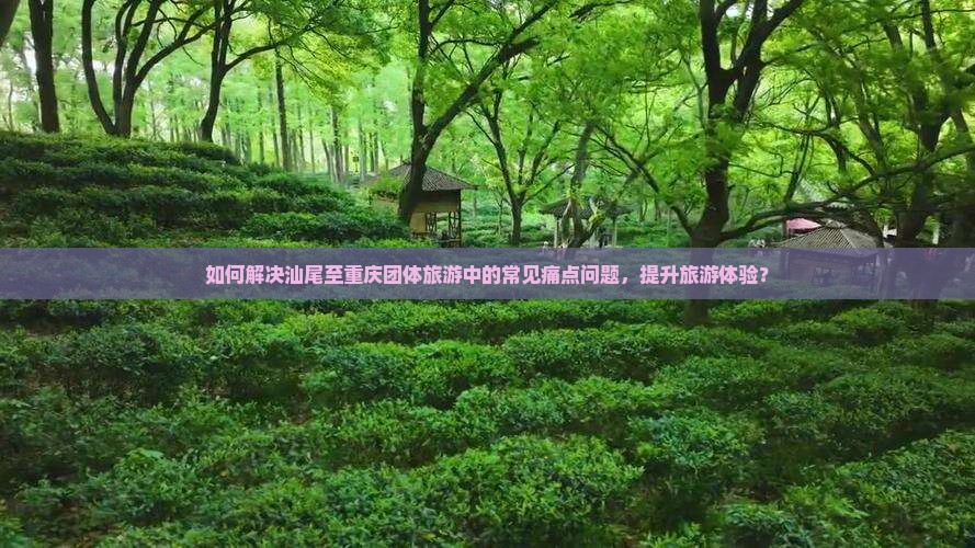 如何解决汕尾至重庆团体旅游中的常见痛点问题，提升旅游体验？
