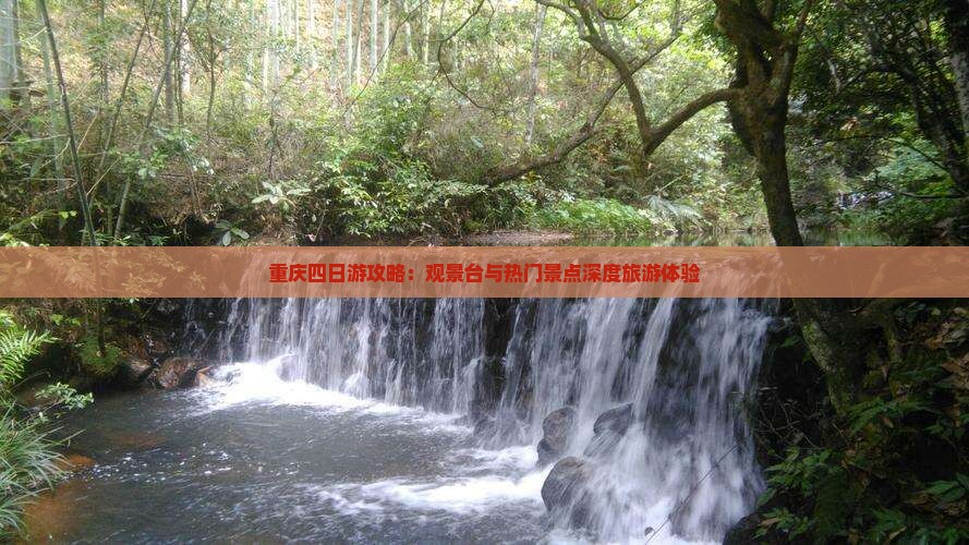 重庆四日游攻略：观景台与热门景点深度旅游体验