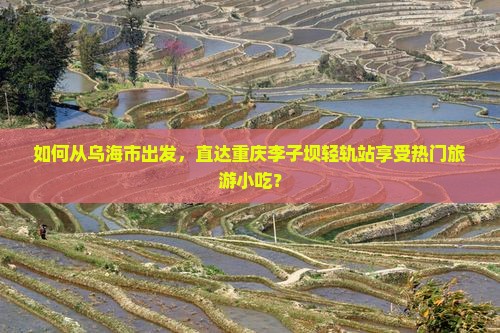 如何从乌海市出发，直达重庆李子坝轻轨站享受热门旅游小吃？