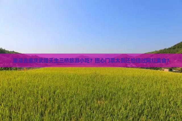 巢湖去重庆武隆天生三桥旅游小吃？担心门票太贵还怕错过网红美食？