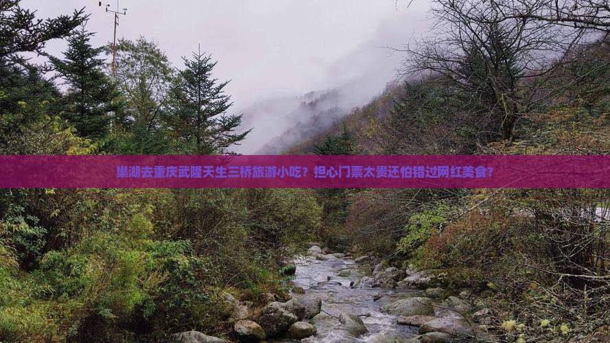 巢湖去重庆武隆天生三桥旅游小吃？担心门票太贵还怕错过网红美食？