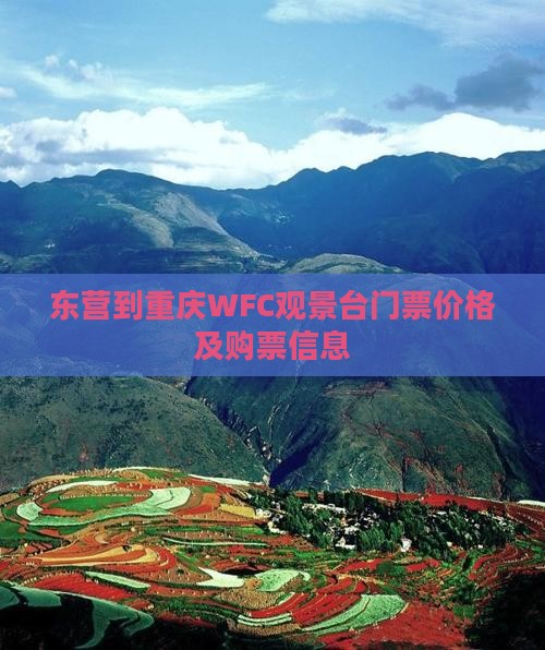 东营到重庆WFC观景台门票价格及购票信息