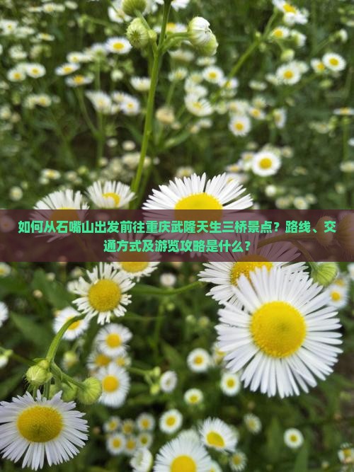 如何从石嘴山出发前往重庆武隆天生三桥景点？路线、交通方式及游览攻略是什么？