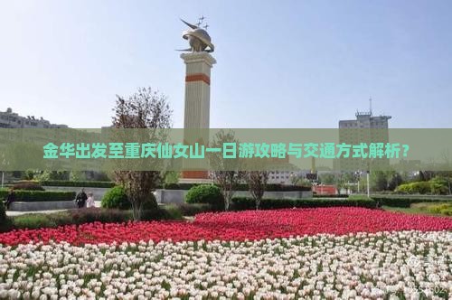 金华出发至重庆仙女山一日游攻略与交通方式解析？