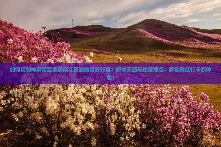 如何规划神农架至重庆两江夜游的高效行程？解决交通与住宿痛点，解锁网红打卡新体验！