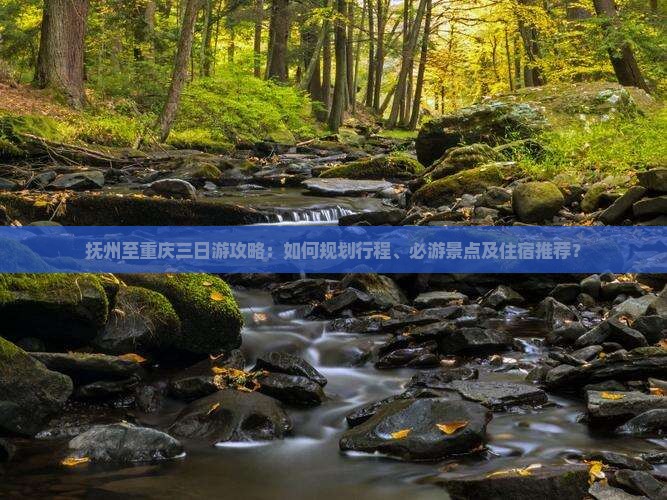 抚州至重庆三日游攻略：如何规划行程、必游景点及住宿推荐？