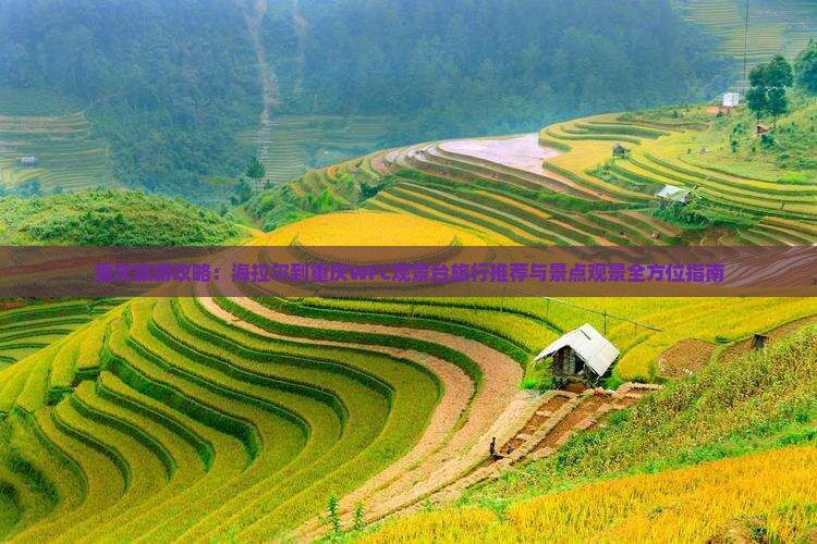 重庆旅游攻略：海拉尔到重庆WFC观景台旅行推荐与景点观景全方位指南