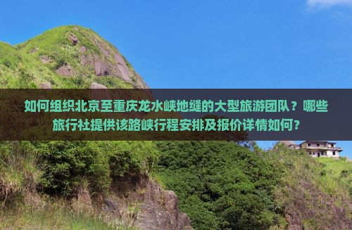 如何组织北京至重庆龙水峡地缝的大型旅游团队？哪些旅行社提供该路峡行程安排及报价详情如何？