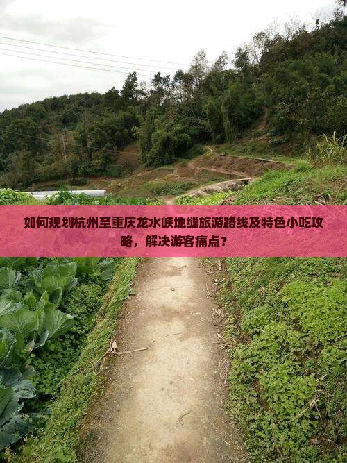如何规划杭州至重庆龙水峡地缝旅游路线及特色小吃攻略，解决游客痛点？