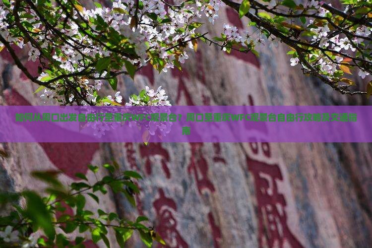 如何从周口出发自由行至重庆WFC观景台？周口至重庆WFC观景台自由行攻略及交通指南
