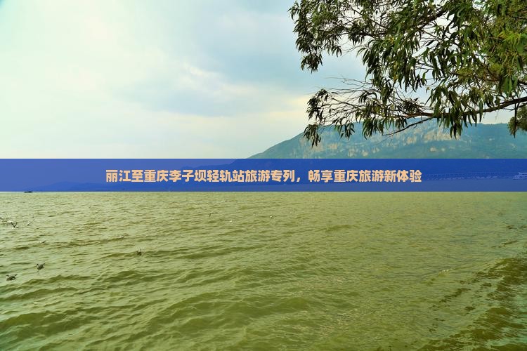 丽江至重庆李子坝轻轨站旅游专列，畅享重庆旅游新体验