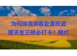 为何珠海游客赴重庆武隆天生三桥必打卡？网红景点的独特魅力与必去理由！