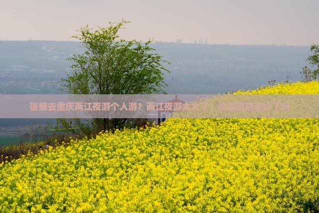 张掖去重庆两江夜游个人游？两江夜游太火了，机票酒店涨价了吗