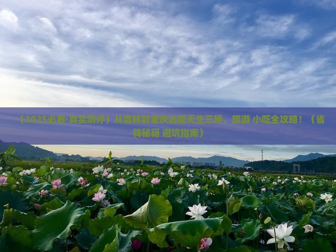 吉林去重庆武隆天生三桥旅游小吃
