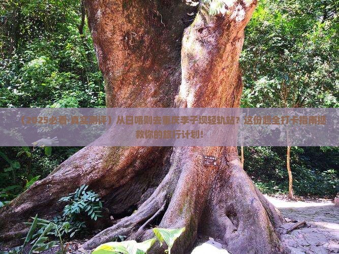 日喀则到重庆李子坝轻轨站必去地