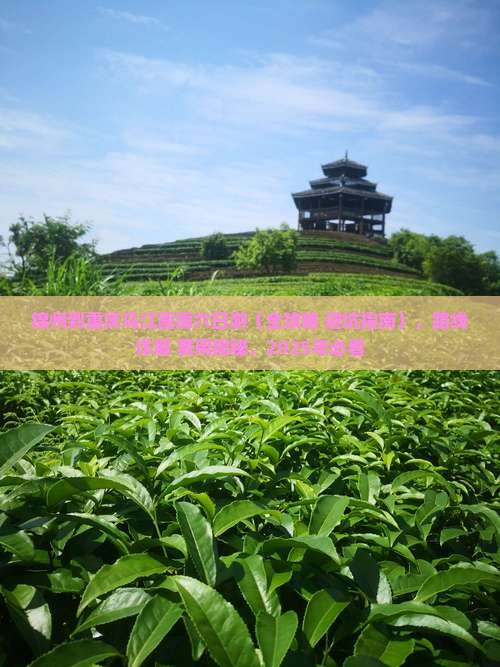 锦州到重庆乌江画廊六日游 锦州到重庆乌江画廊六日游